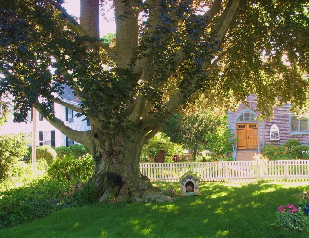 Bed and Breakfast The 1720 House Vineyard Haven Exterior foto