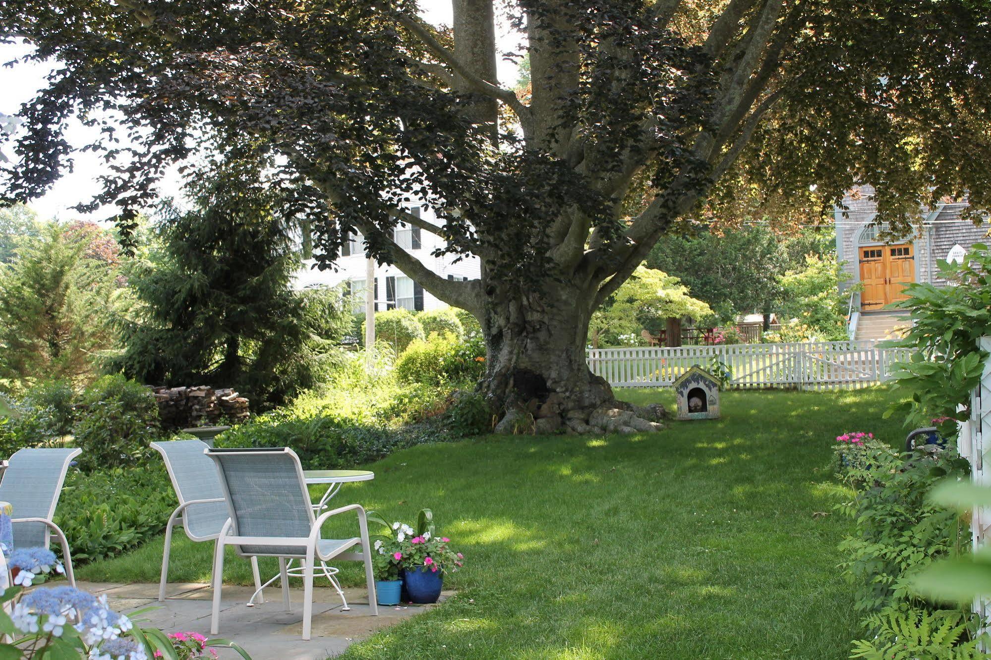 Bed and Breakfast The 1720 House Vineyard Haven Exterior foto